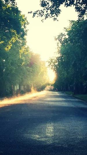 建设个网站截图4