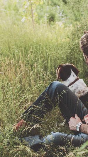 蜘蛛池免费代运营截图1