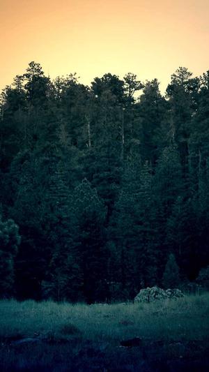 高端的网站建设截图4