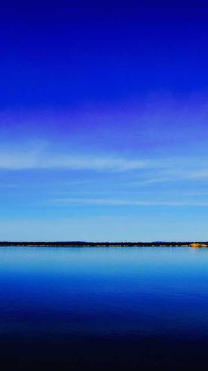 最新蜘蛛池源码破解版截图3