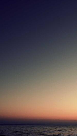 seo排名工具薇欣enuo6688棒截图3