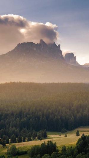 杭州的网站建设截图5