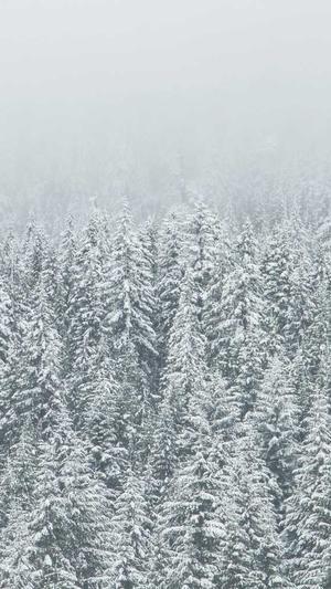 免费seo网站优化工具截图1