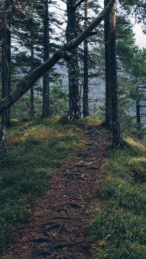 企业移动网站建设截图3