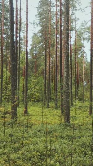 长沙网站建设价格截图3