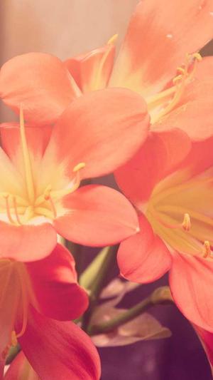 长沙 网站建设截图2