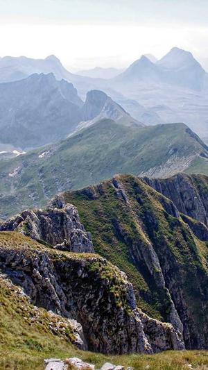 seo查询工具排名截图1