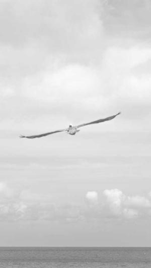 东莞网站建设截图3