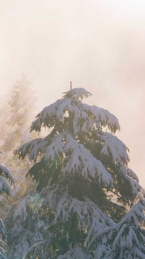 公司网站建设方案截图3