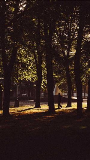 石家庄网站建设报价截图2