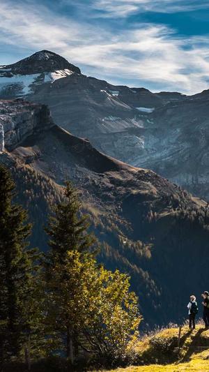 汽配网站建设截图5