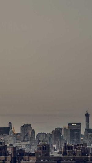 蜘蛛池秒排截图4