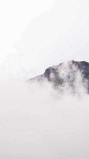 建设网站的网站首页截图3