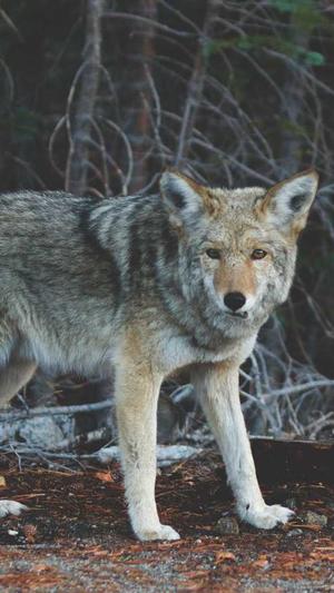 商城网站建设截图1