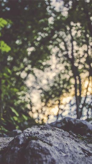 蜘蛛池小蝌蚪图片截图1