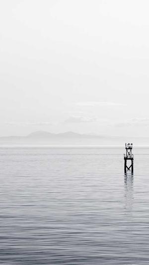 泛目录安全吗截图3