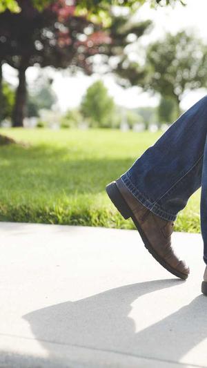 免费seo外链工具截图1