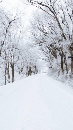 seo优化技术教程泛目录截图3