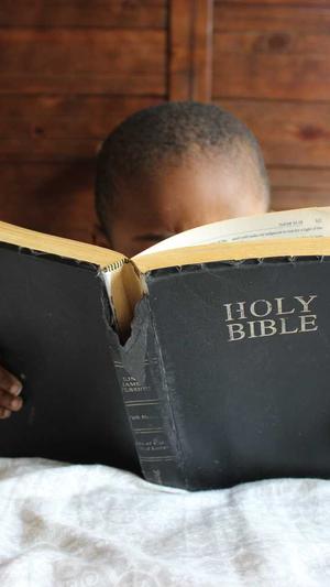 网站建设公司模板截图4