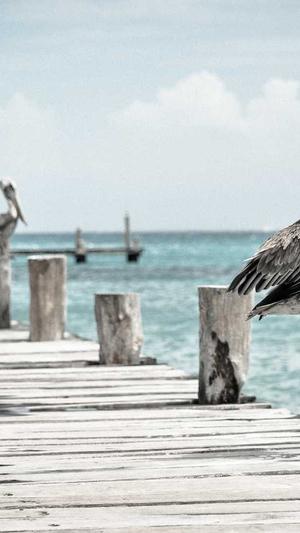 引擎优化seo截图2