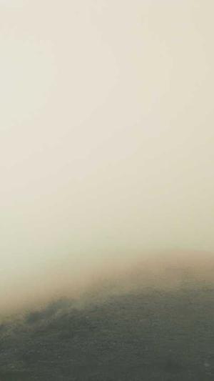 郑州seo张炎截图3