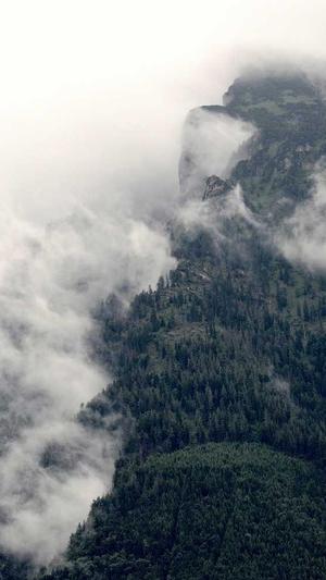 seo工具那个好截图1