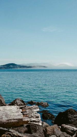 二级域名做蜘蛛池截图2