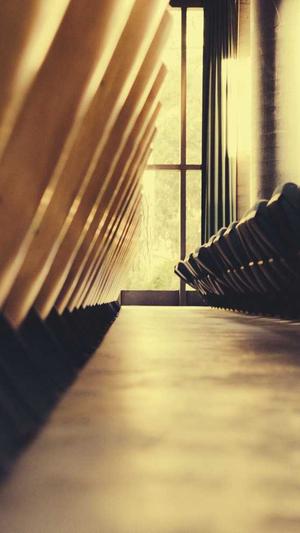 seo博客必备工具截图4