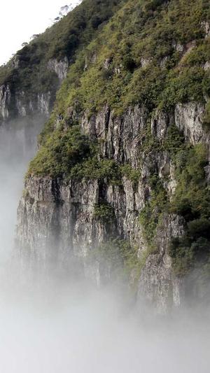 泛目录的排名截图4